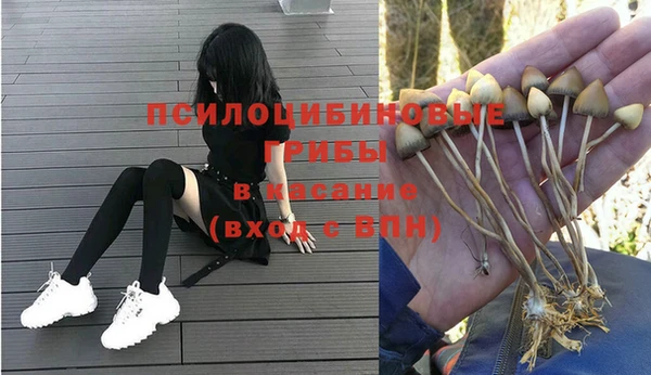 марки lsd Тайга