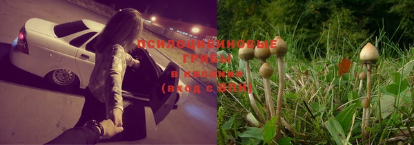 каннабис Сясьстрой